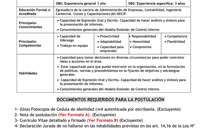 PERFILPROGRAMAMECIPPLANIFICACION1